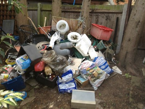 Professional weed removal in garden clearance